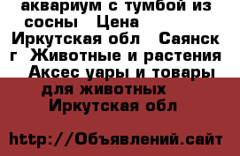 аквариум с тумбой из сосны › Цена ­ 15 000 - Иркутская обл., Саянск г. Животные и растения » Аксесcуары и товары для животных   . Иркутская обл.